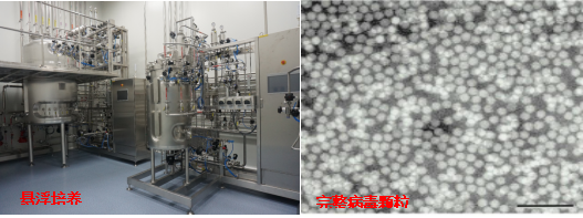 华派生物分发系统