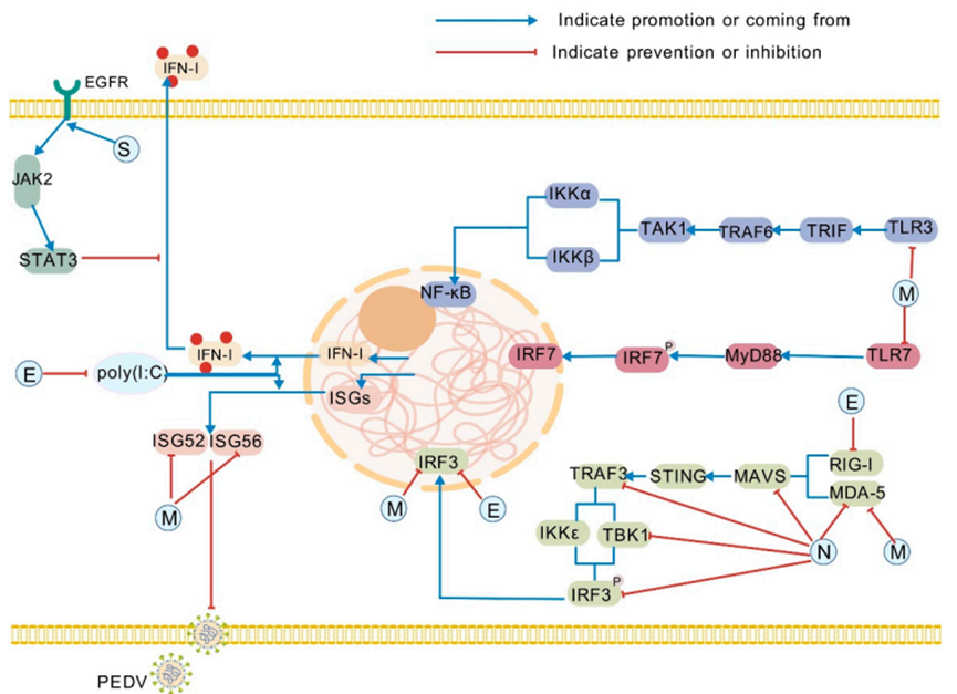 华派生物分发系统